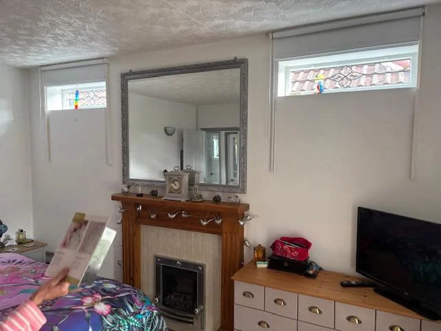 Elephant Windows